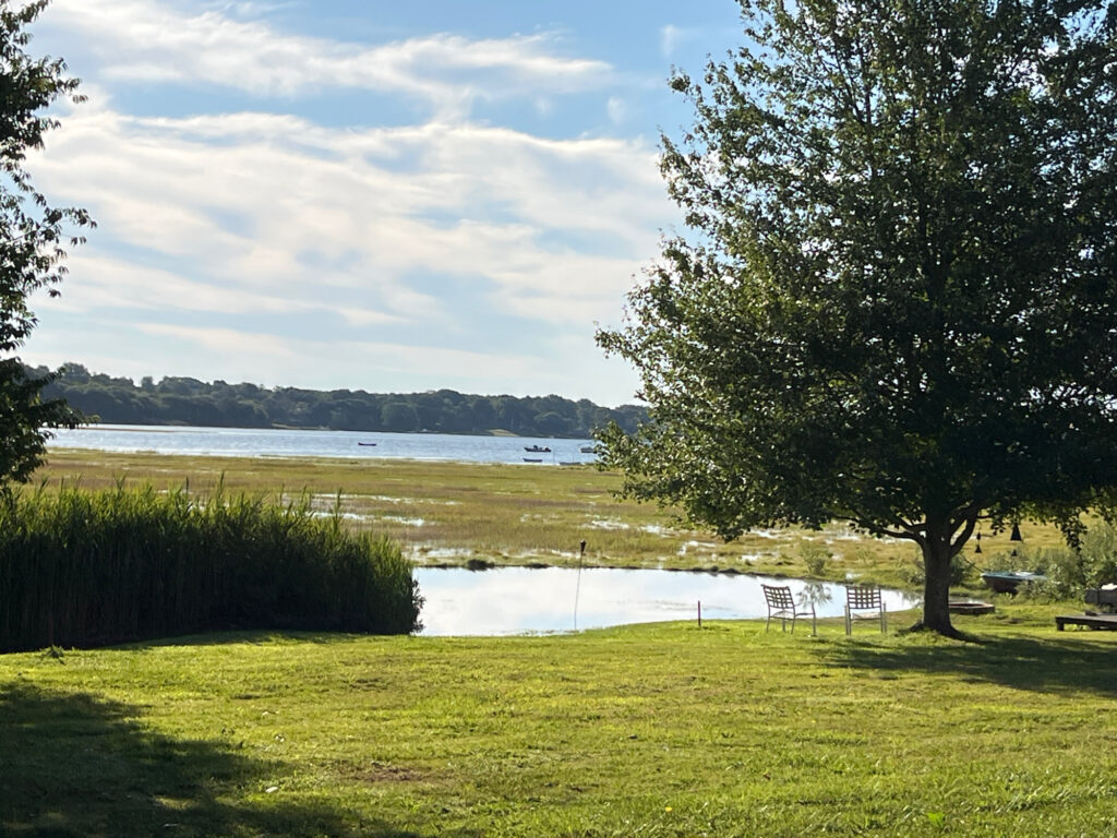 a grassy area with a body of water in the background (MyCoast AI)