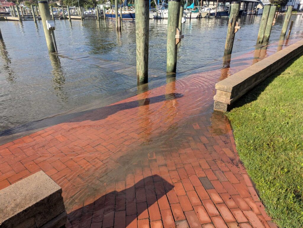 a brick walkway with a brick walkway and grass and a body of water (MyCoast AI)