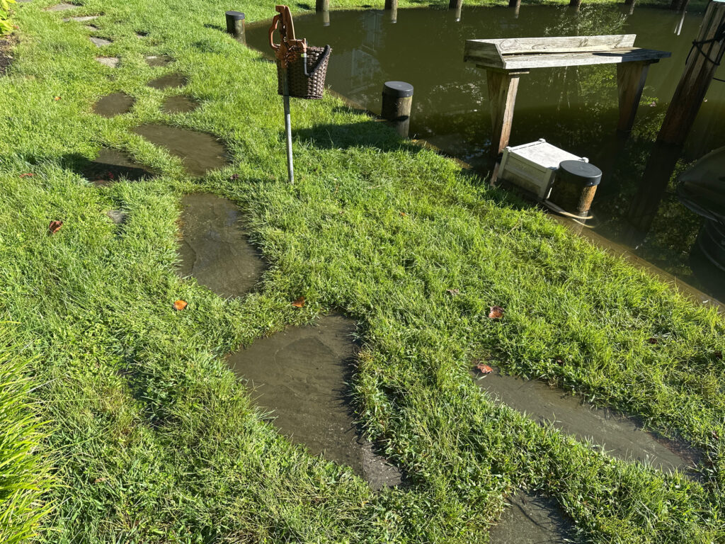 a pond with a dock and a bench (MyCoast AI)