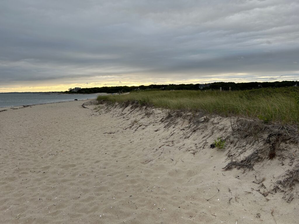 a sandy beach with grass and water (MyCoast AI)