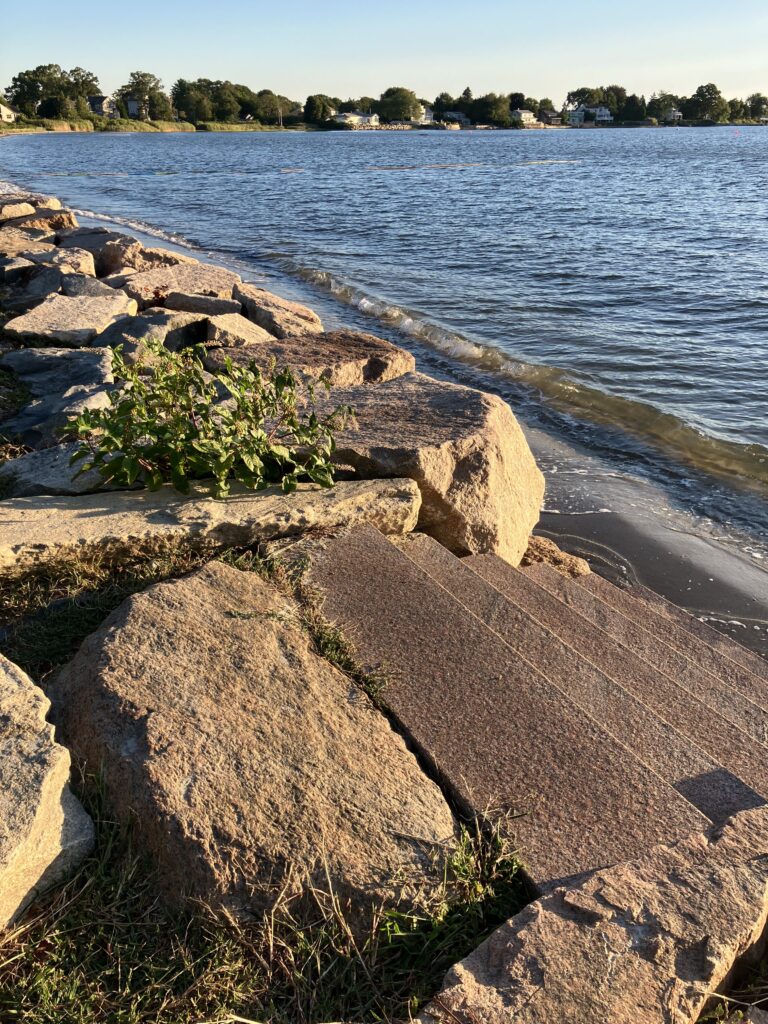 a rocky shoreline with a body of water in the background (MyCoast AI)
