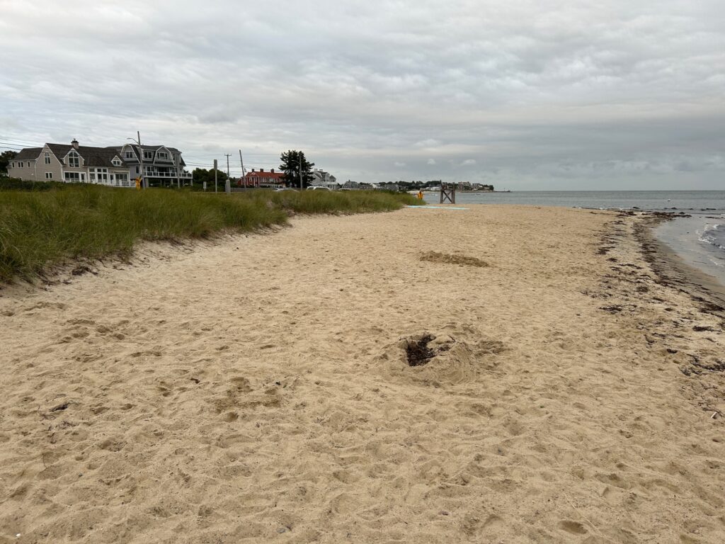 a sandy beach with grass and buildings (MyCoast AI)