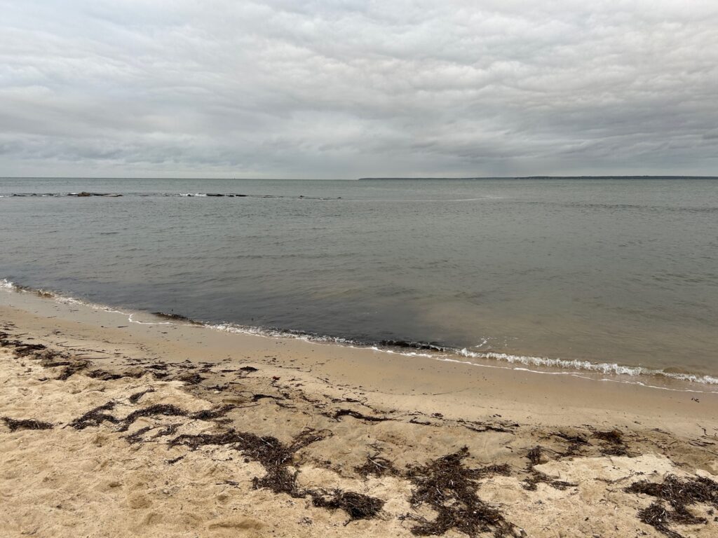 a beach with sand and water (MyCoast AI)