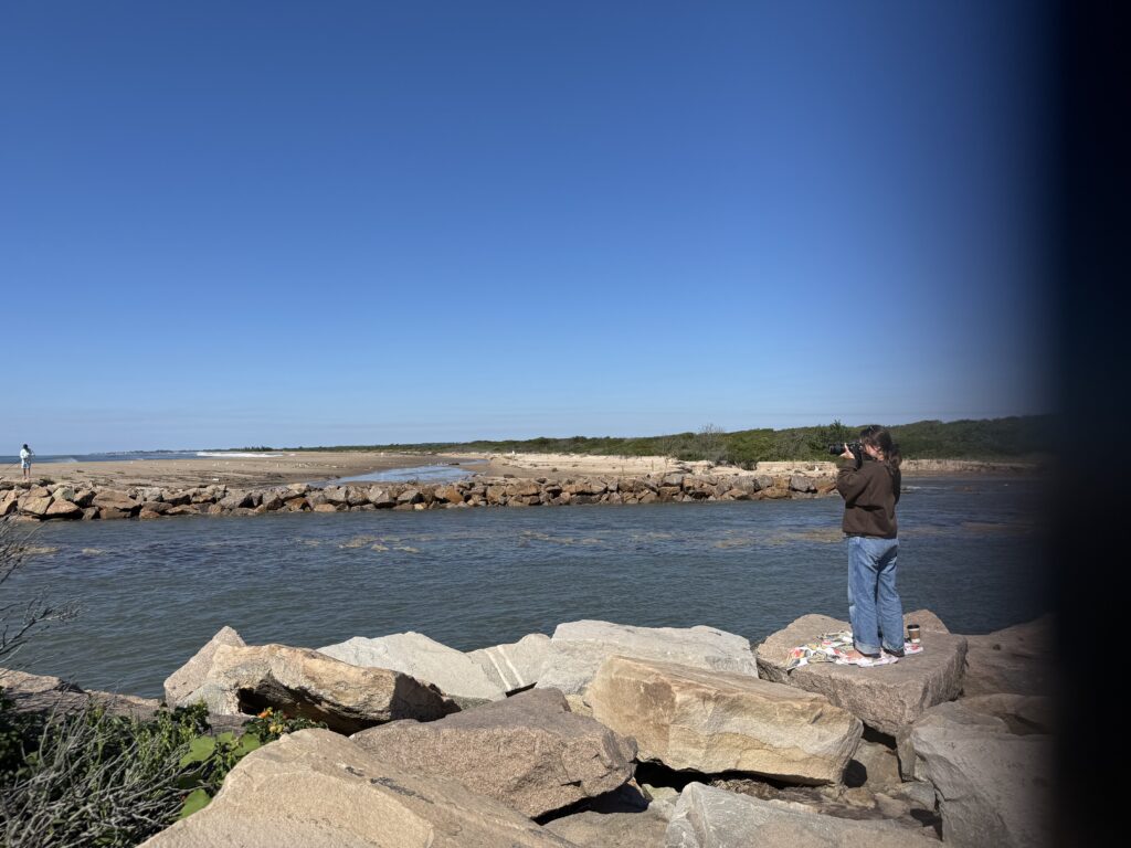 a person taking a picture of the ocean (MyCoast AI)