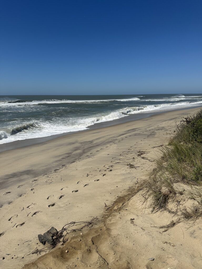 a sandy beach with waves crashing (MyCoast AI)