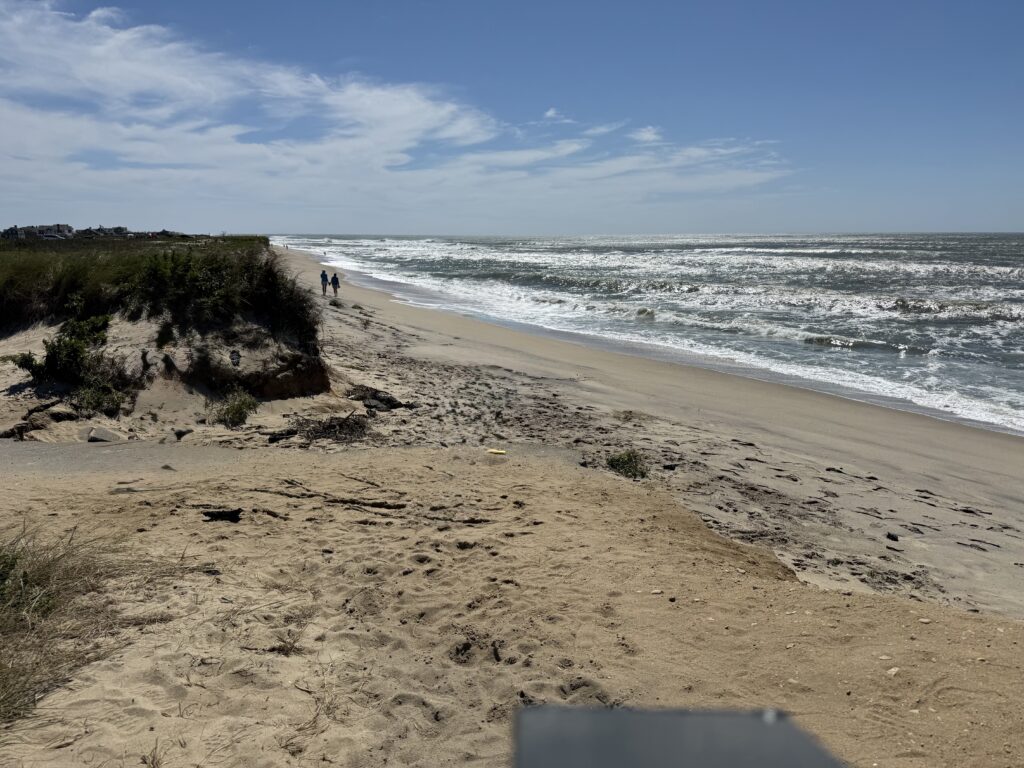 a sandy beach with waves crashing on it (MyCoast AI)