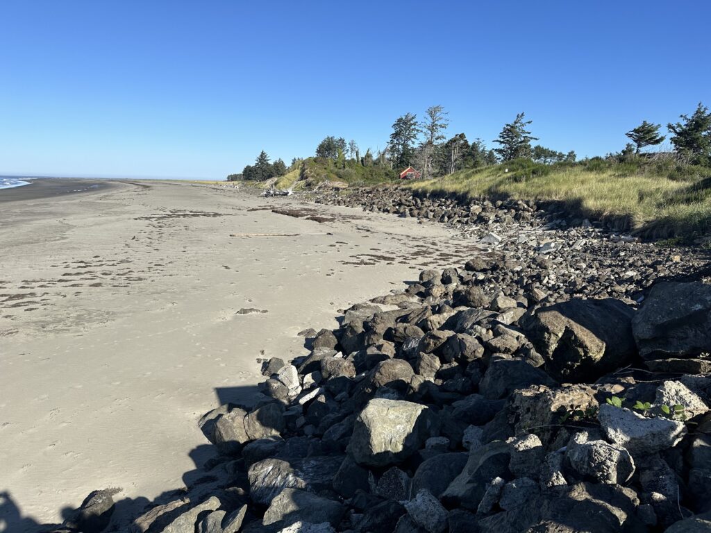 a rocky beach with trees (MyCoast AI)