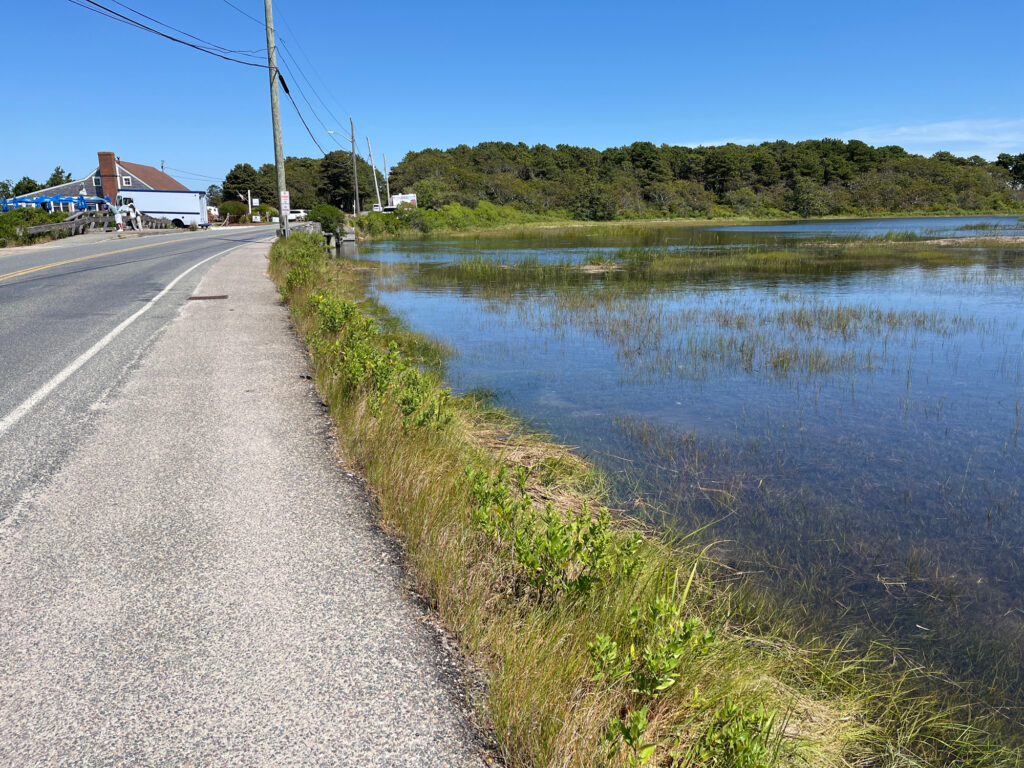 a road next to a body of water (MyCoast AI)