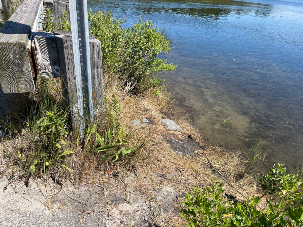 a sandy beach with a fence and plants (MyCoast AI)