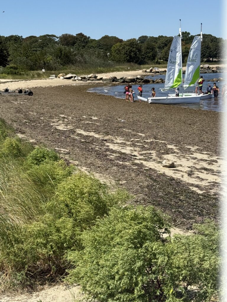 a group of people on a beach (MyCoast AI)