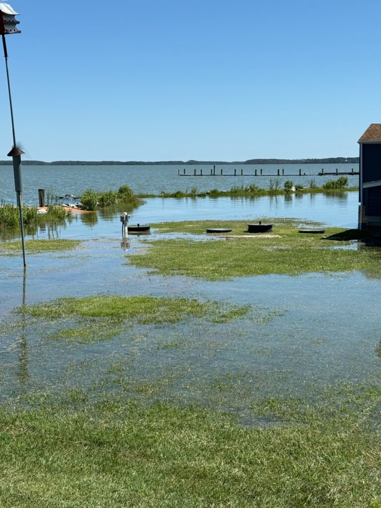 a body of water with grass and a building in the background (MyCoast AI)