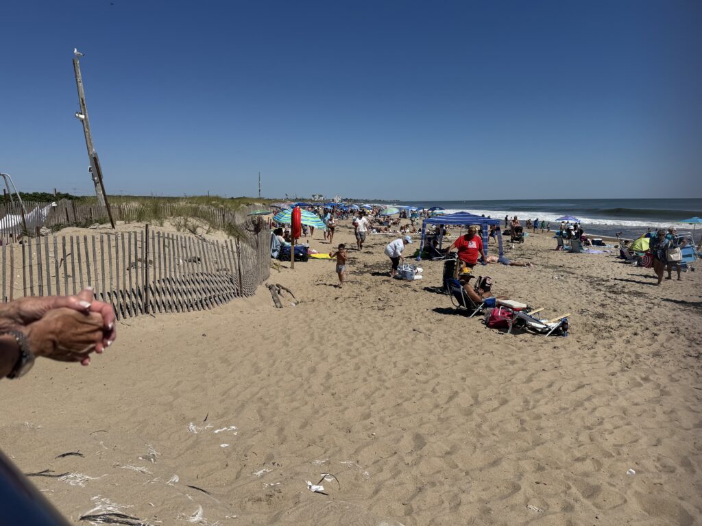 a group of people at a beach (MyCoast AI)