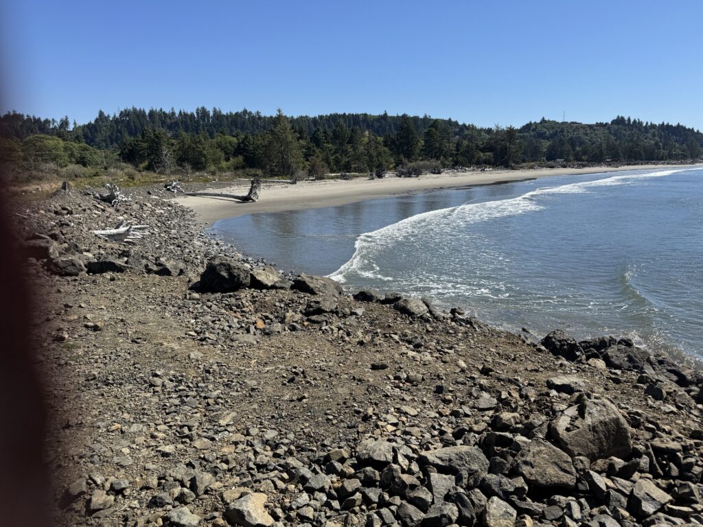 a rocky beach with trees in the background (MyCoast AI)