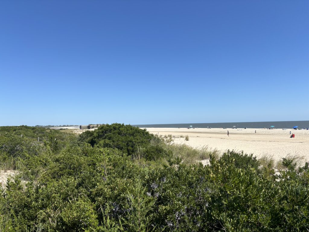 a sandy beach with bushes and trees (MyCoast AI)