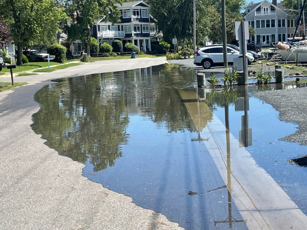 a flooded street with cars and buildings (MyCoast AI)
