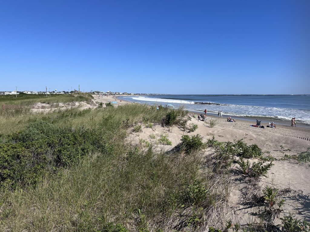 a beach with people on it (MyCoast AI)