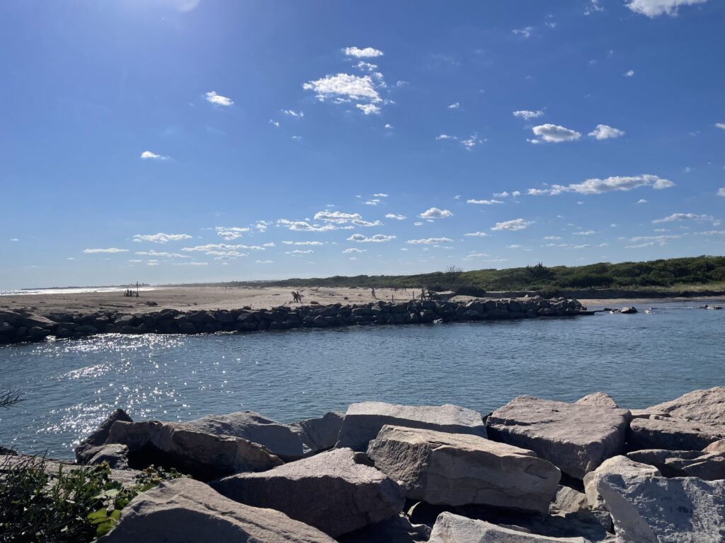 a body of water with rocks and trees around it (MyCoast AI)