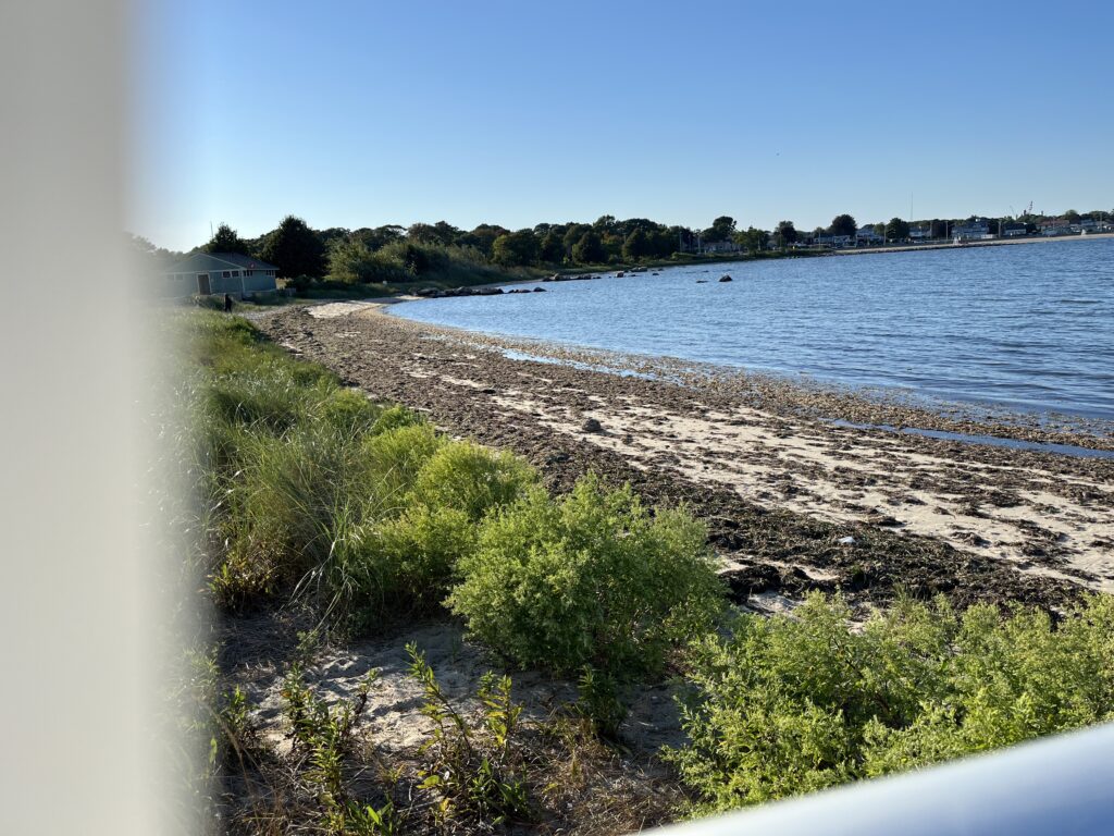a beach with a body of water (MyCoast AI)