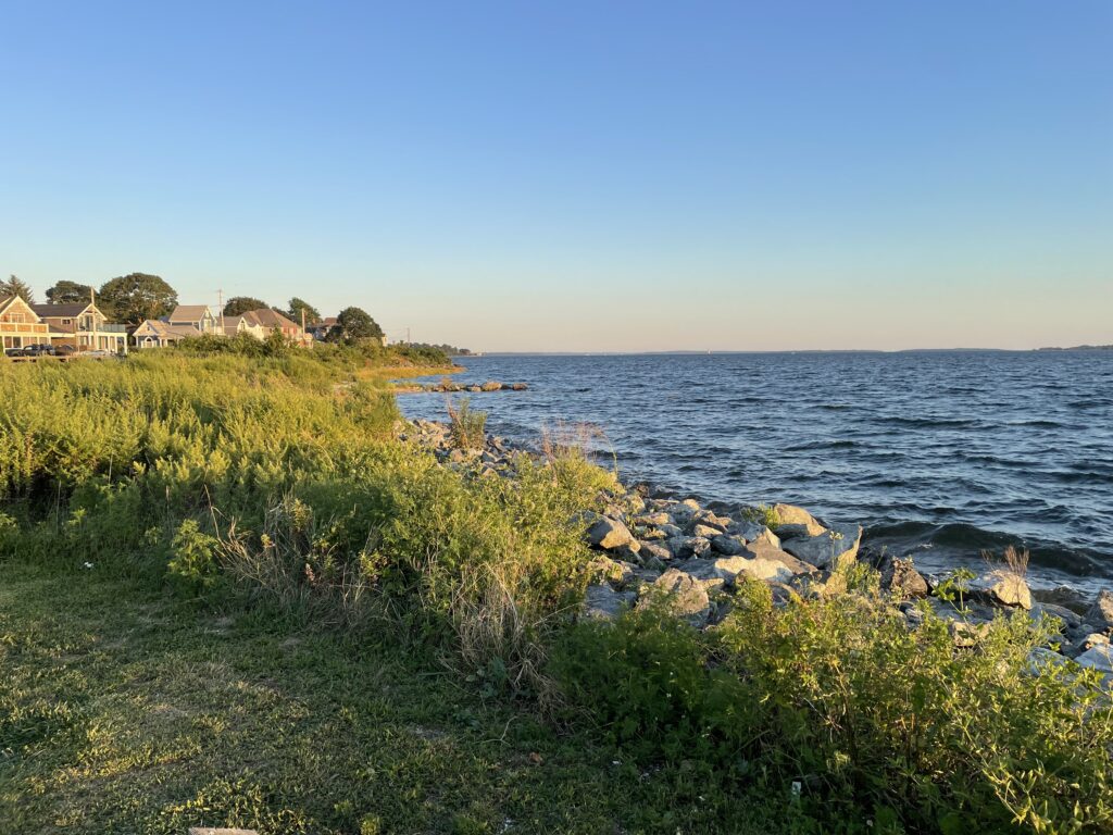 a rocky beach with houses and trees (MyCoast AI)
