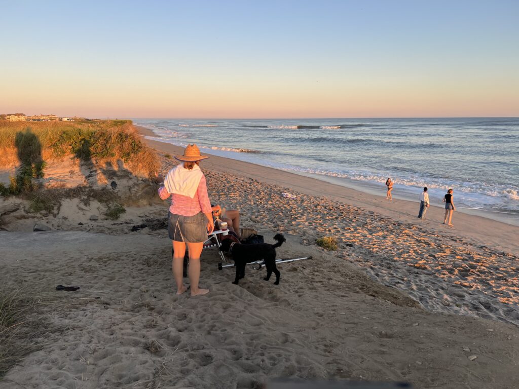 a person walking a dog on a beach (MyCoast AI)