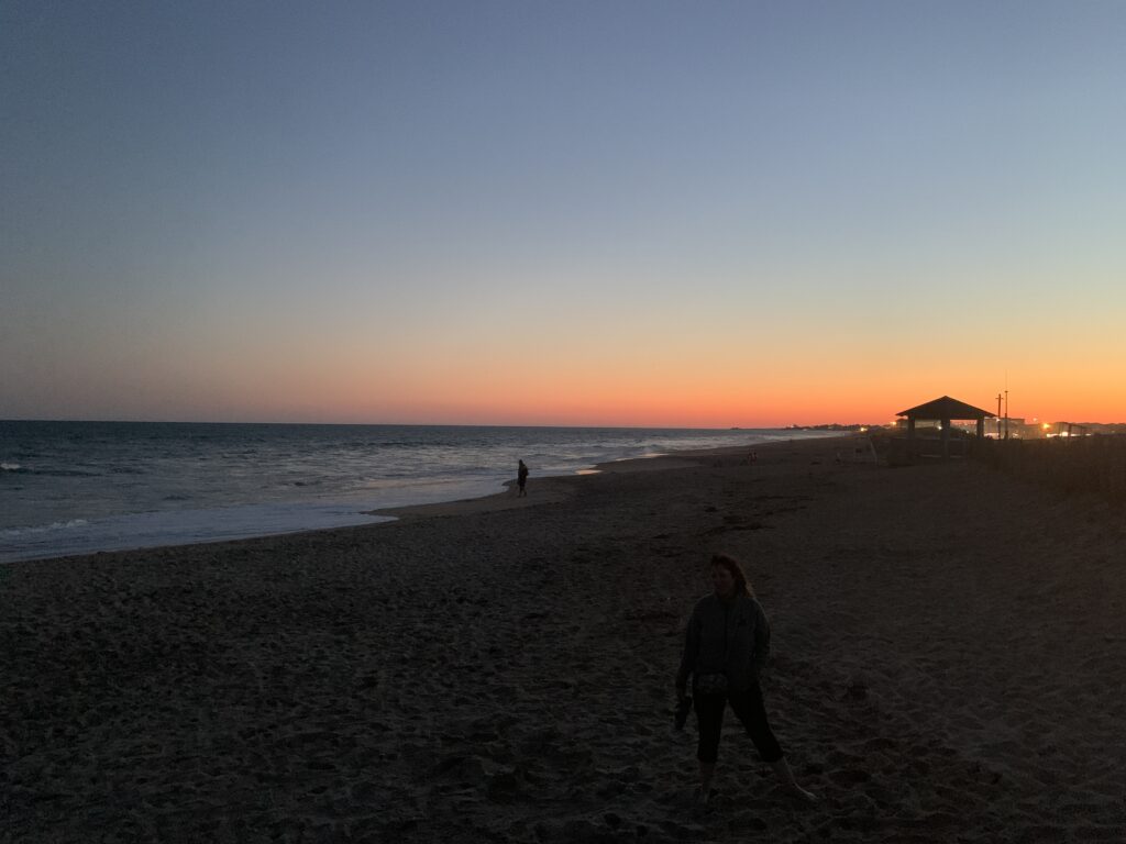 a person walking on a beach (MyCoast AI)