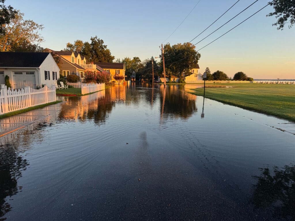 a flooded street with houses and trees (MyCoast AI)