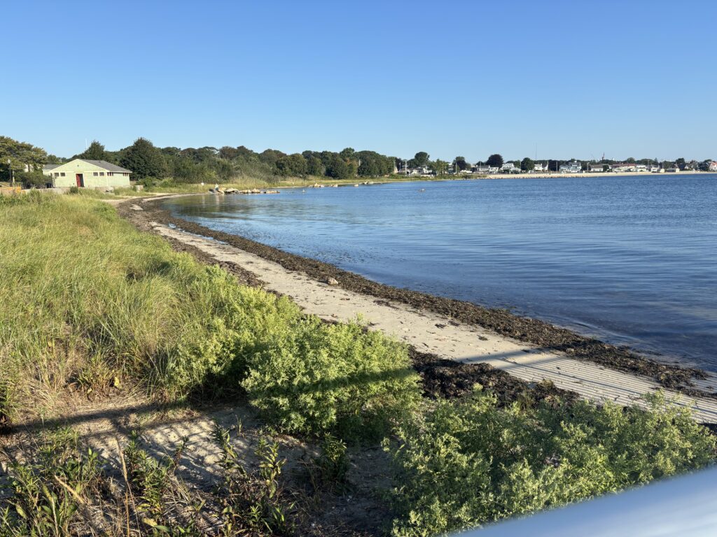 a body of water with grass and a path by it (MyCoast AI)