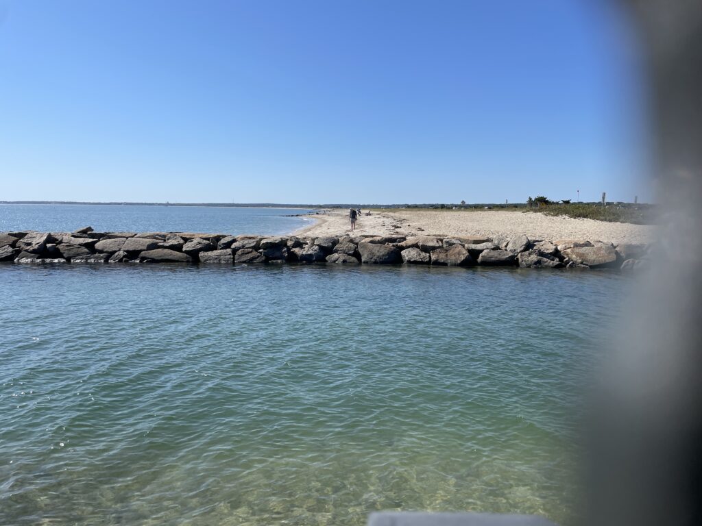 a rocky beach with a body of water in the background (MyCoast AI)