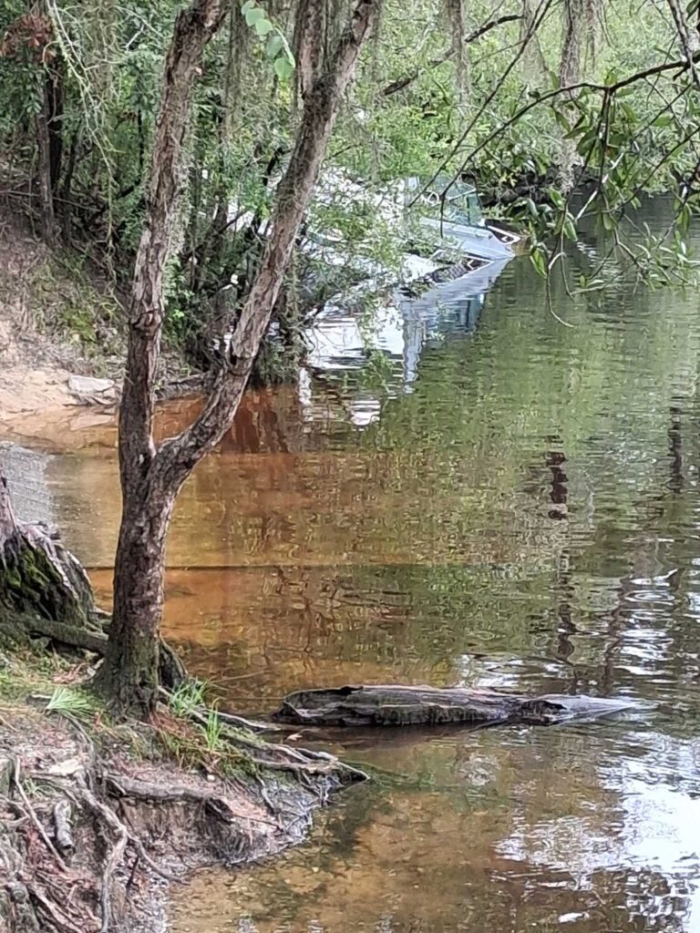 a crocodile in a river (MyCoast AI)