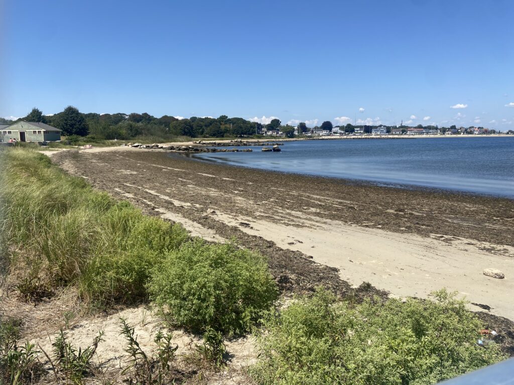 a beach with a boat in the water (MyCoast AI)