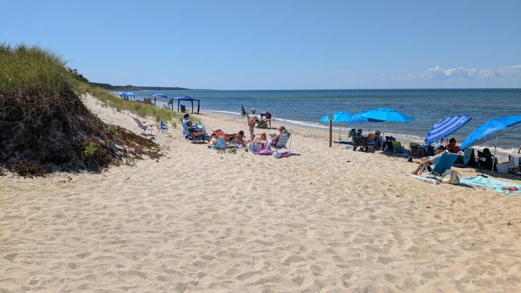 people sitting on beach chairs (MyCoast AI)
