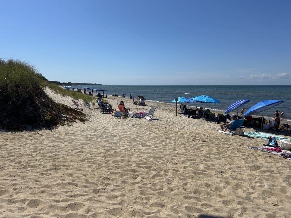 people sitting on a beach (MyCoast AI)
