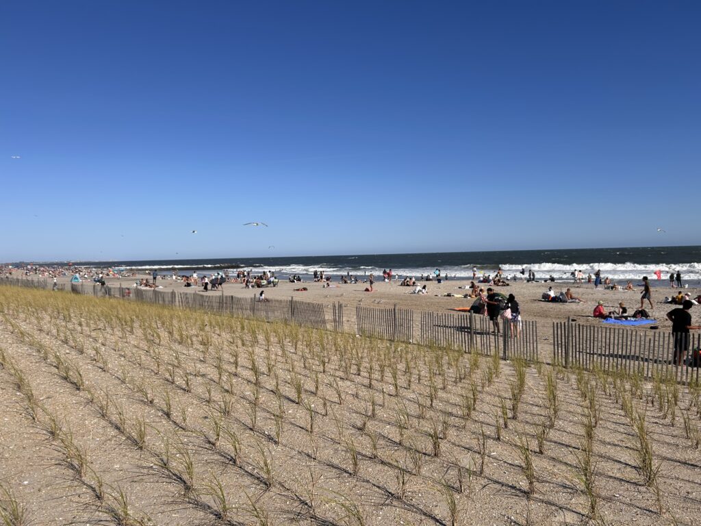 a beach with people (MyCoast AI)