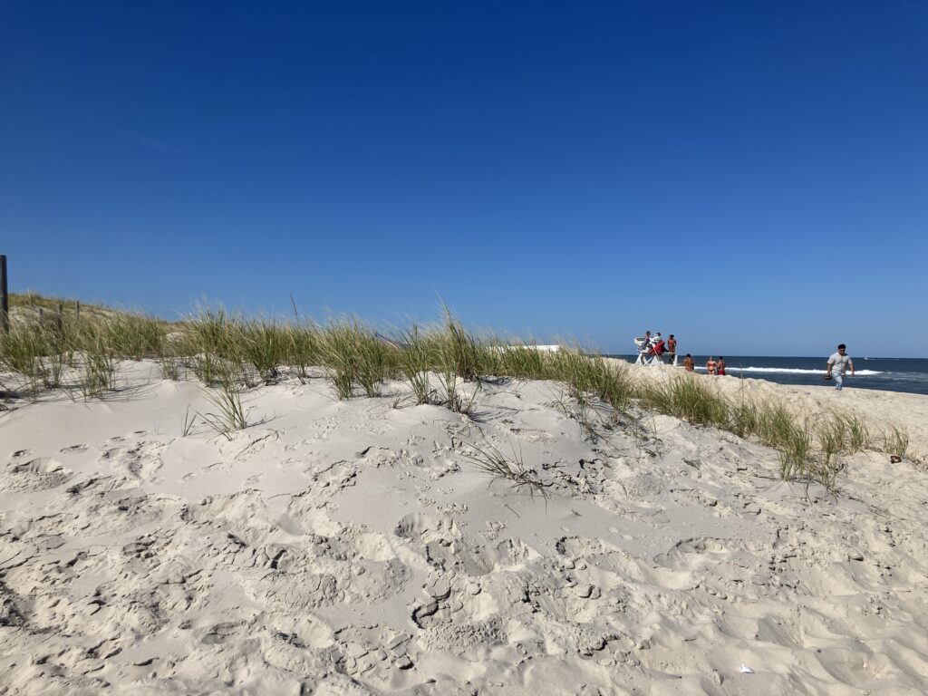 people walking on a beach (MyCoast AI)