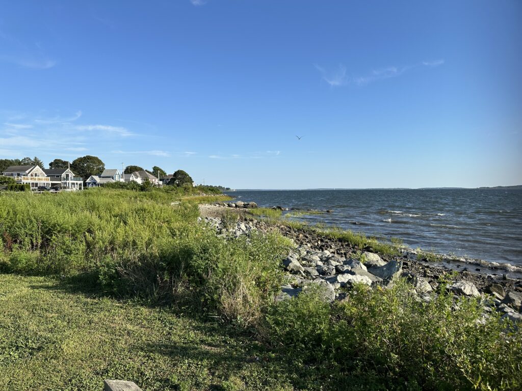 a grassy area next to a body of water (MyCoast AI)