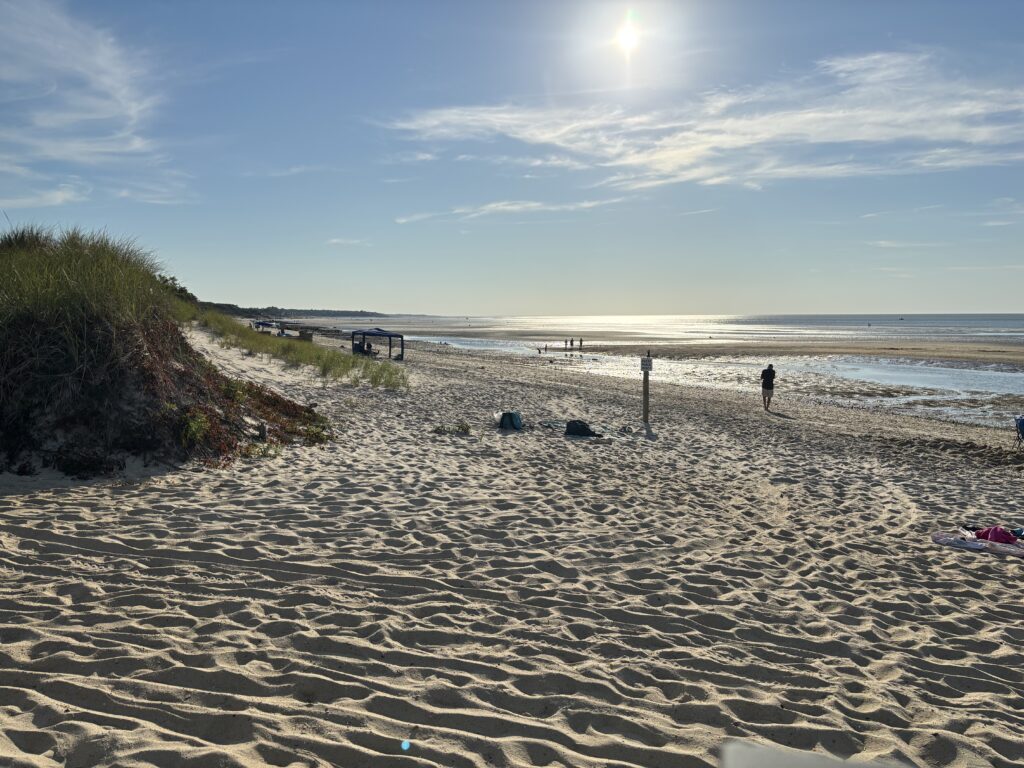 a person walking on a beach (MyCoast AI)