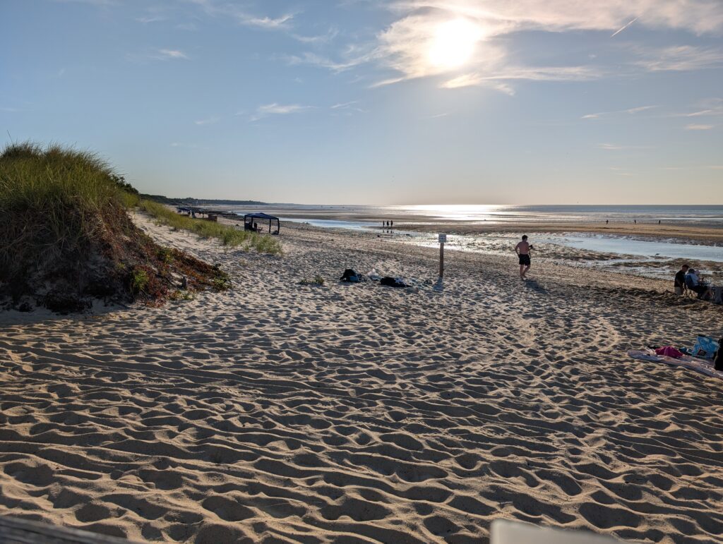 a person standing on a beach (MyCoast AI)