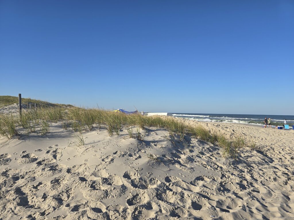 a sandy beach with people walking on it (MyCoast AI)
