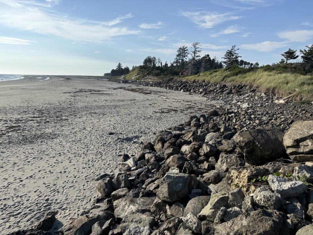 a rocky beach with trees (MyCoast AI)