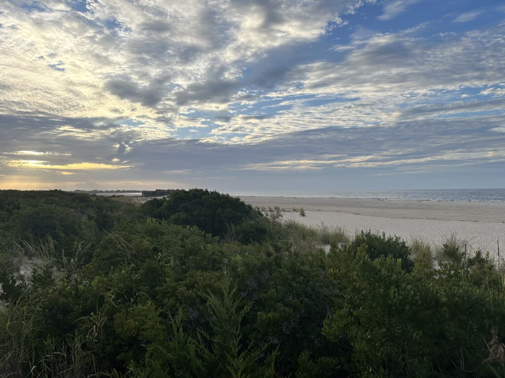 a beach with trees and bushes (MyCoast AI)