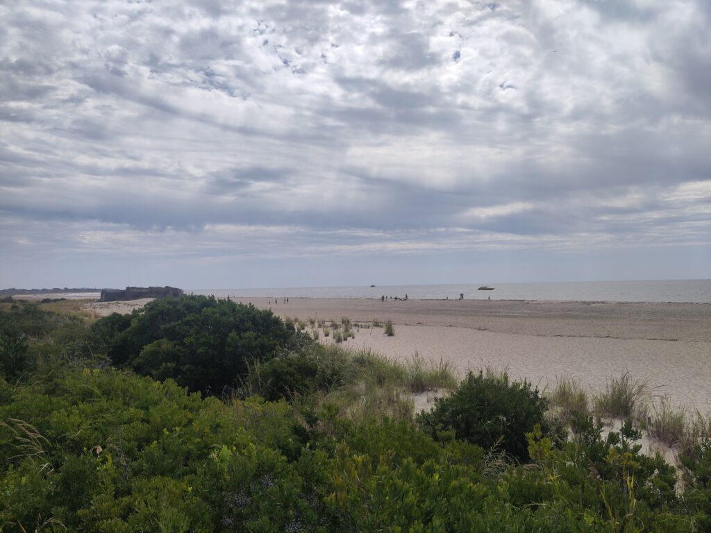 a sandy beach with bushes and trees (MyCoast AI)