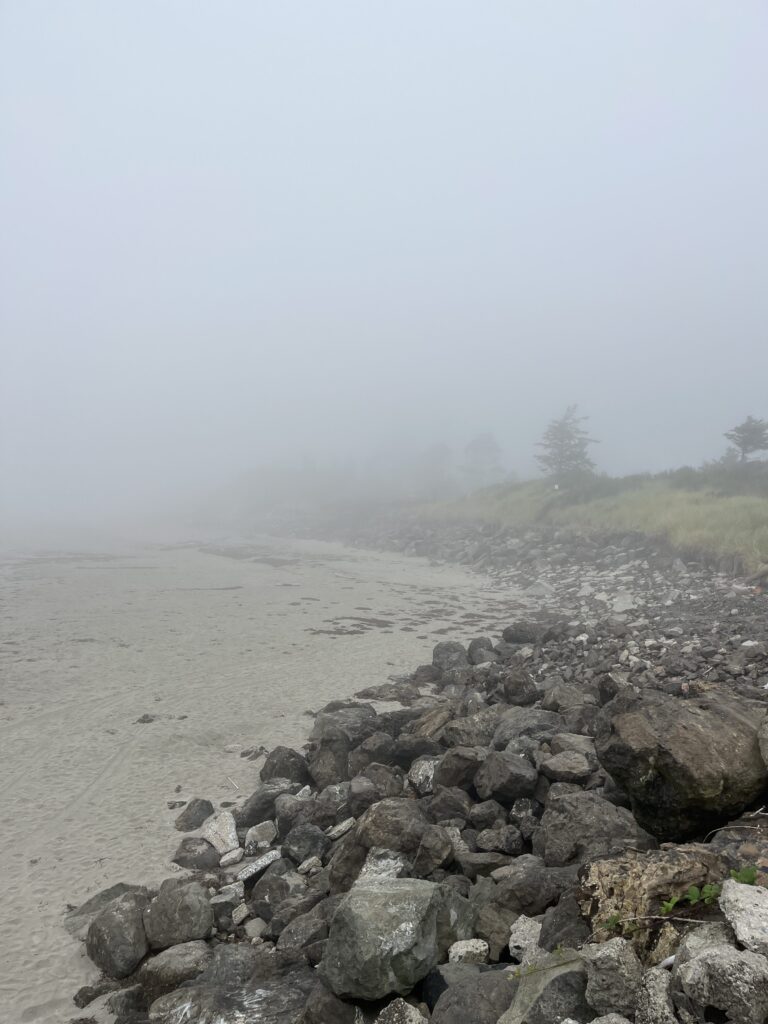 a rocky beach with fog (MyCoast AI)