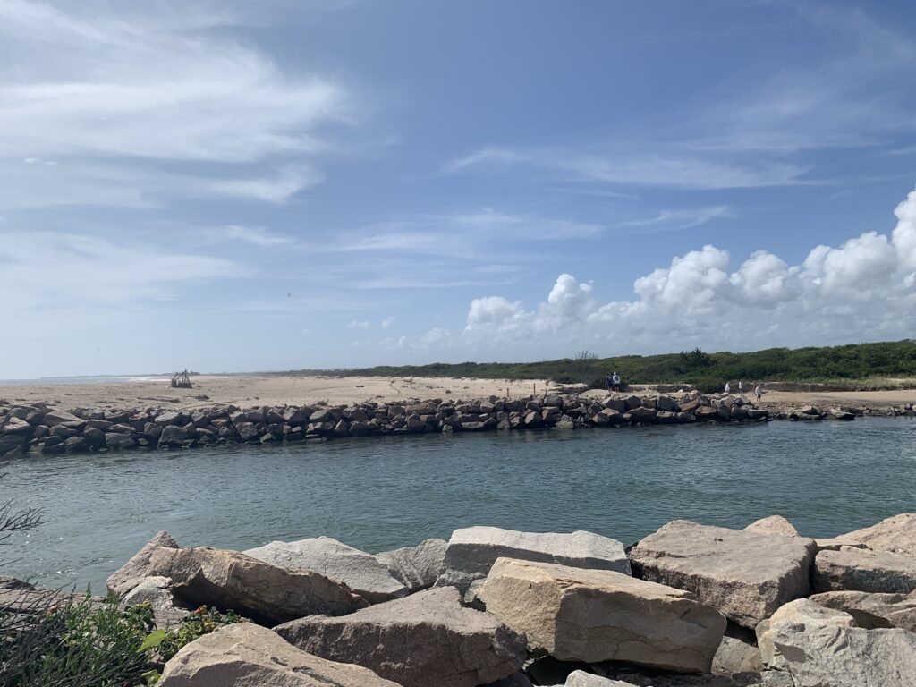 a rocky beach with a body of water in the background (MyCoast AI)