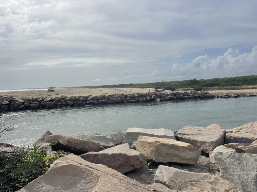 a rocky beach with a body of water in the background (MyCoast AI)