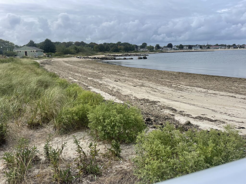 a beach with grass and sand (MyCoast AI)