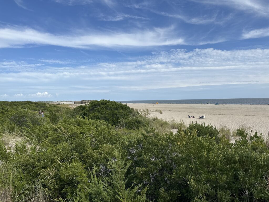 a field of green plants (MyCoast AI)