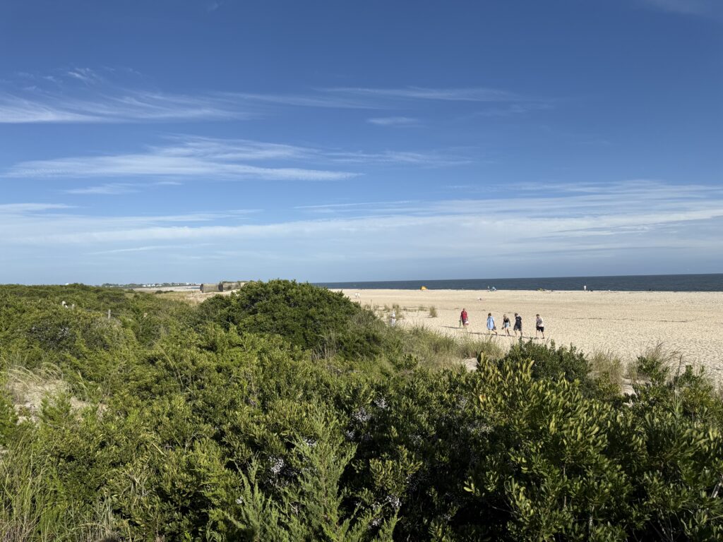 a group of people walking on a sandy beach (MyCoast AI)