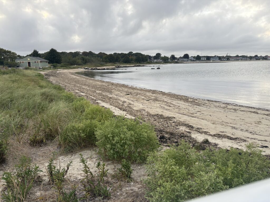 a beach with grass and sand (MyCoast AI)