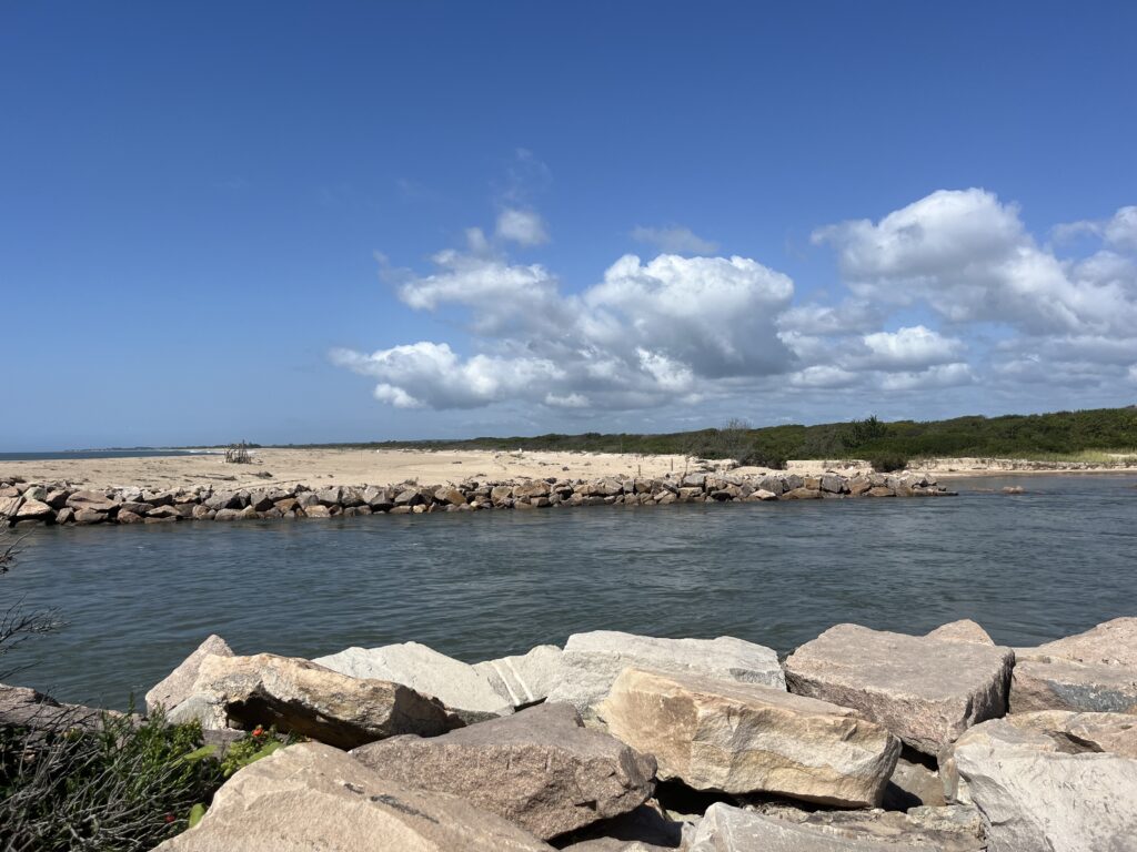 a body of water with rocks and grass around it (MyCoast AI)