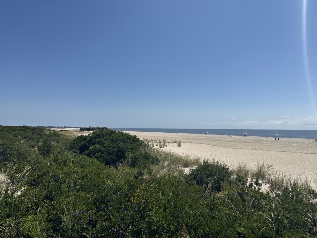 a sandy beach with trees (MyCoast AI)